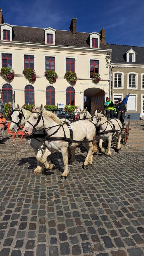 Gite La Grange 8Personnes Au Sein D'Un Elevage De Chevaux Brucquedal المظهر الخارجي الصورة